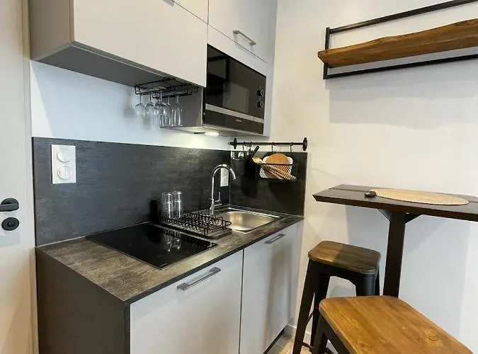 公寓 Petite Amenagee Avec Cuisine St Louis 3 *